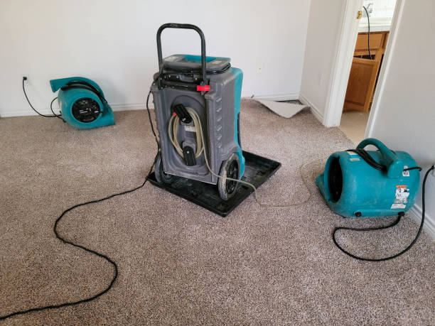 Best Commercial water damage restoration  in Boonville, NC