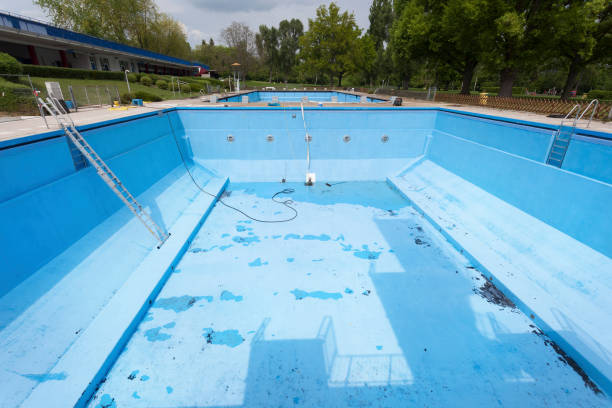 Best Basement water damage restoration  in Boonville, NC