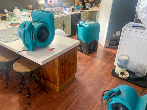 Best Ceiling water damage repair  in Boonville, NC