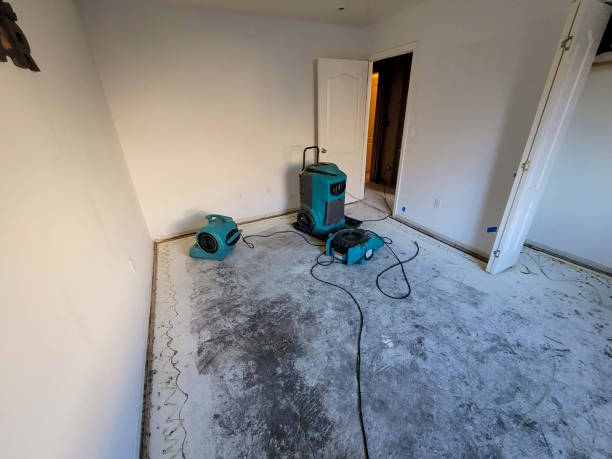 Best Water damage restoration cost  in Boonville, NC