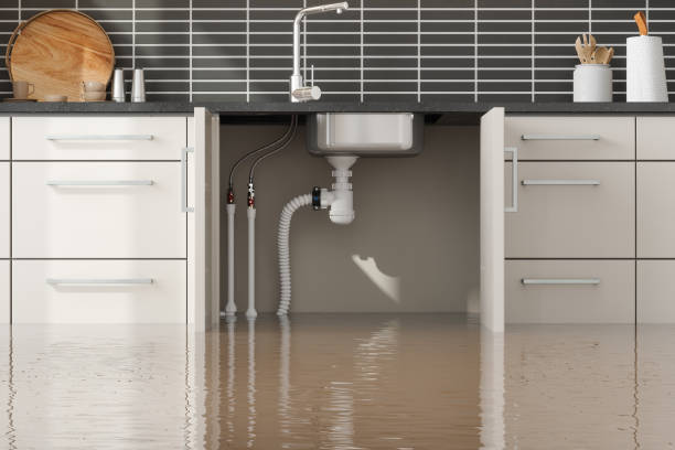 Best Water damage cleanup near me  in Boonville, NC