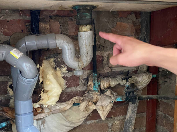 Best Water damage contractors near me  in Boonville, NC